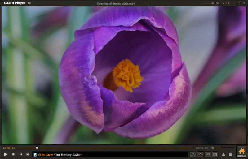 GOM Playerインタフェース