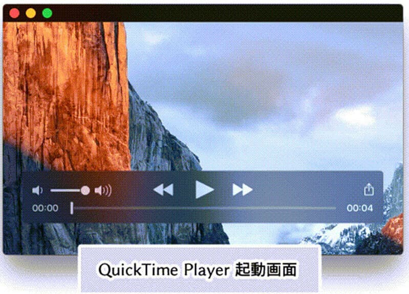 QuickTime Playerインタフェース