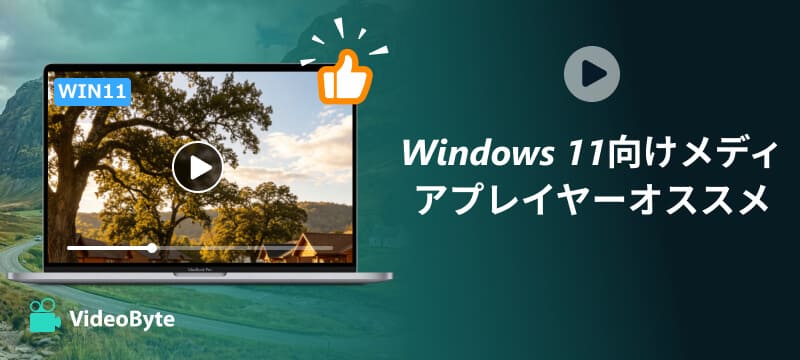 Windows 11対応メディアプレイヤーおすすめ