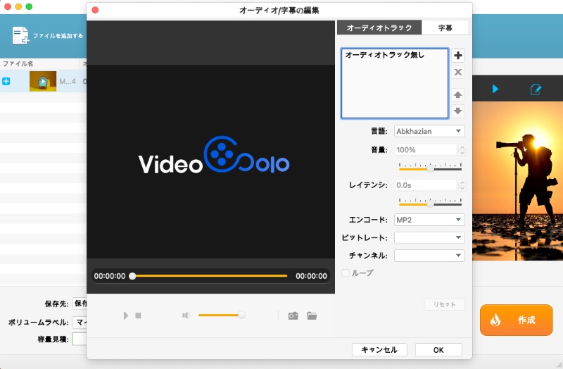 音声トラックと字幕を指定