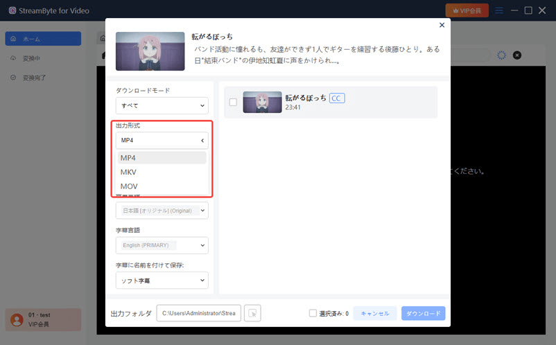 MP4の出力形式を選択