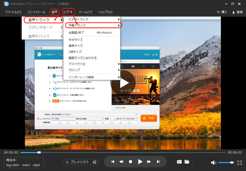 字幕・音声設定