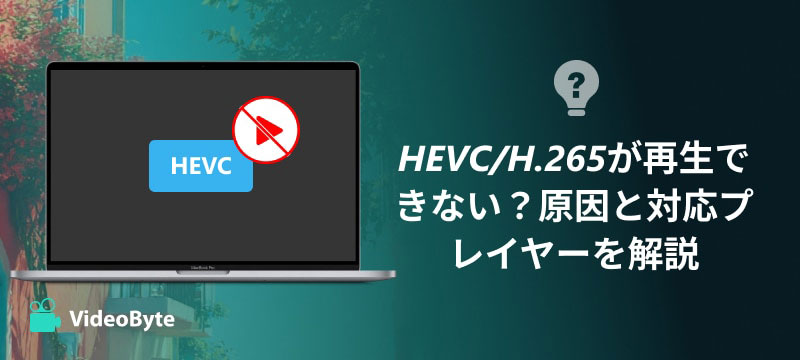 HEVC/H.265再生方法